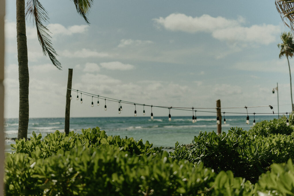palm trees and string lights beach wedding Cancun Mexico venue